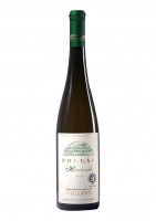 Hárslevelű - lipovina